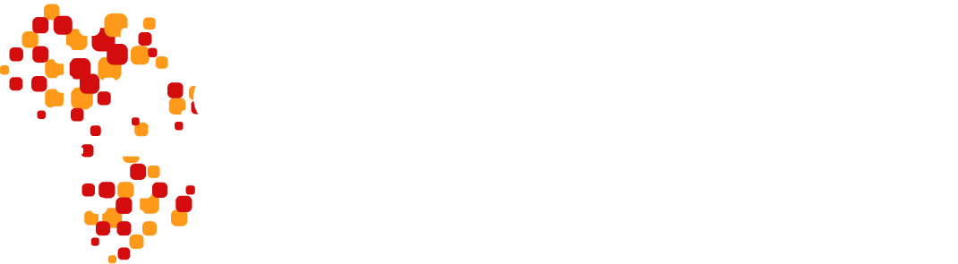 African School of Governance